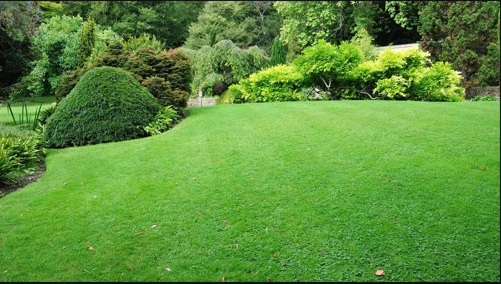 Make Your Fall Yard Cleanup More Efficient Using These Simple Tips