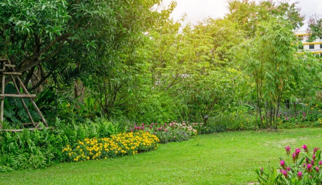 10 Reasons Why Neat And Tidy is Neat