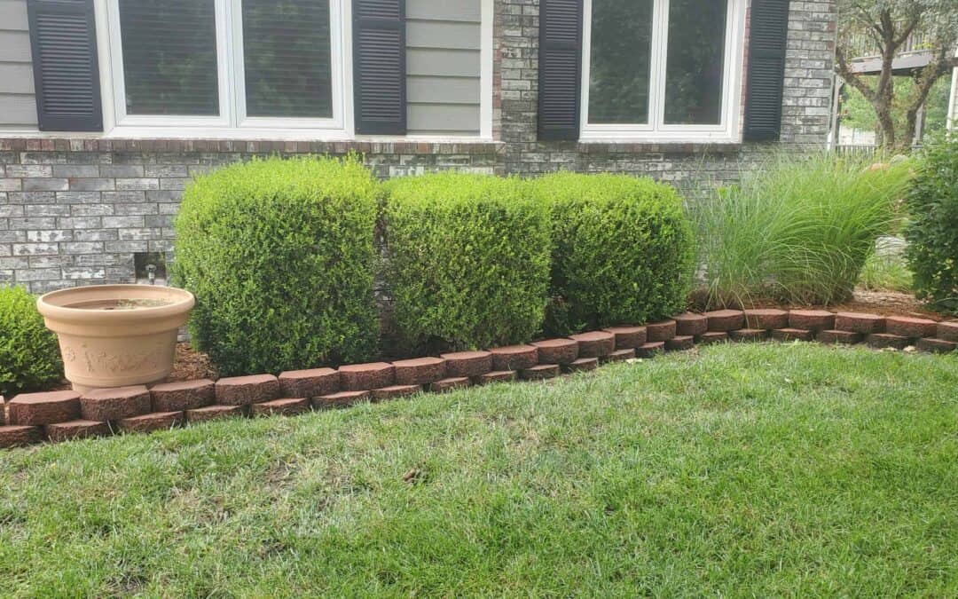 Beautiful Landscaping Ideas Are Spring-ing to Mind