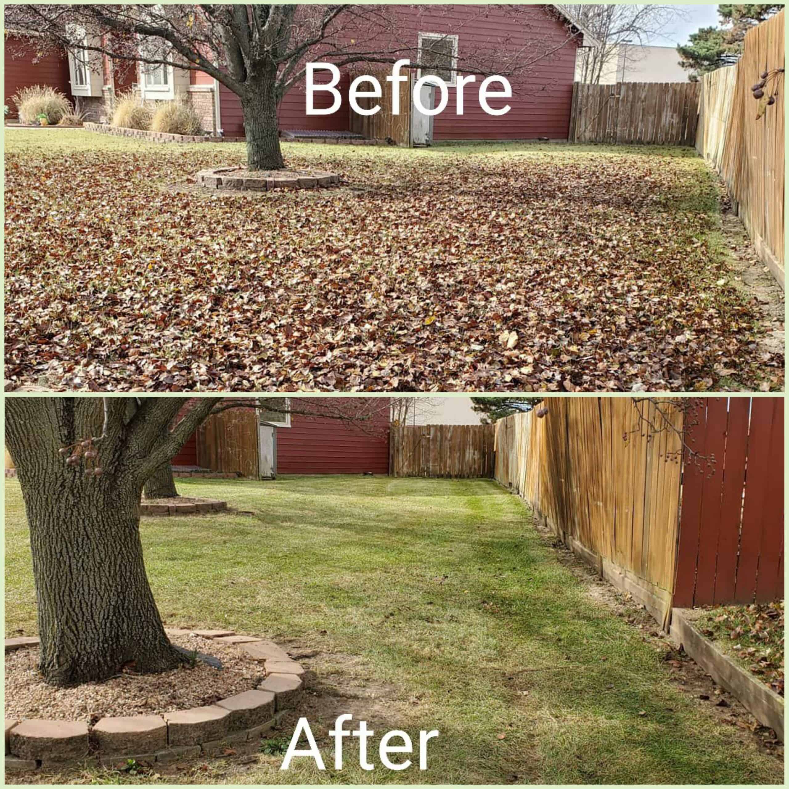 YARD CLEANUP scaled - Divine Lawns