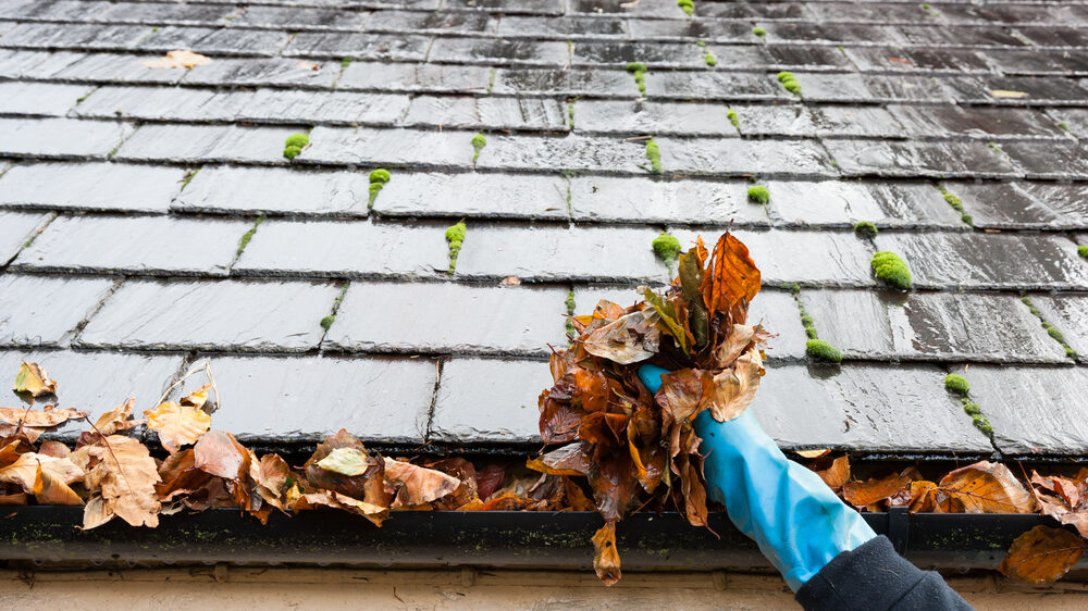 Top 8 Ways to Raise the Roof on Property Value