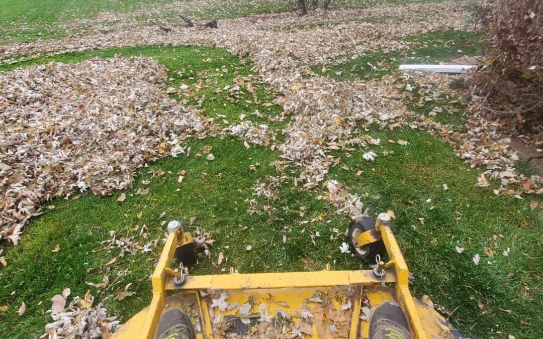 Did You Do Your Autumn Yard Prep? Let’s Show You How!