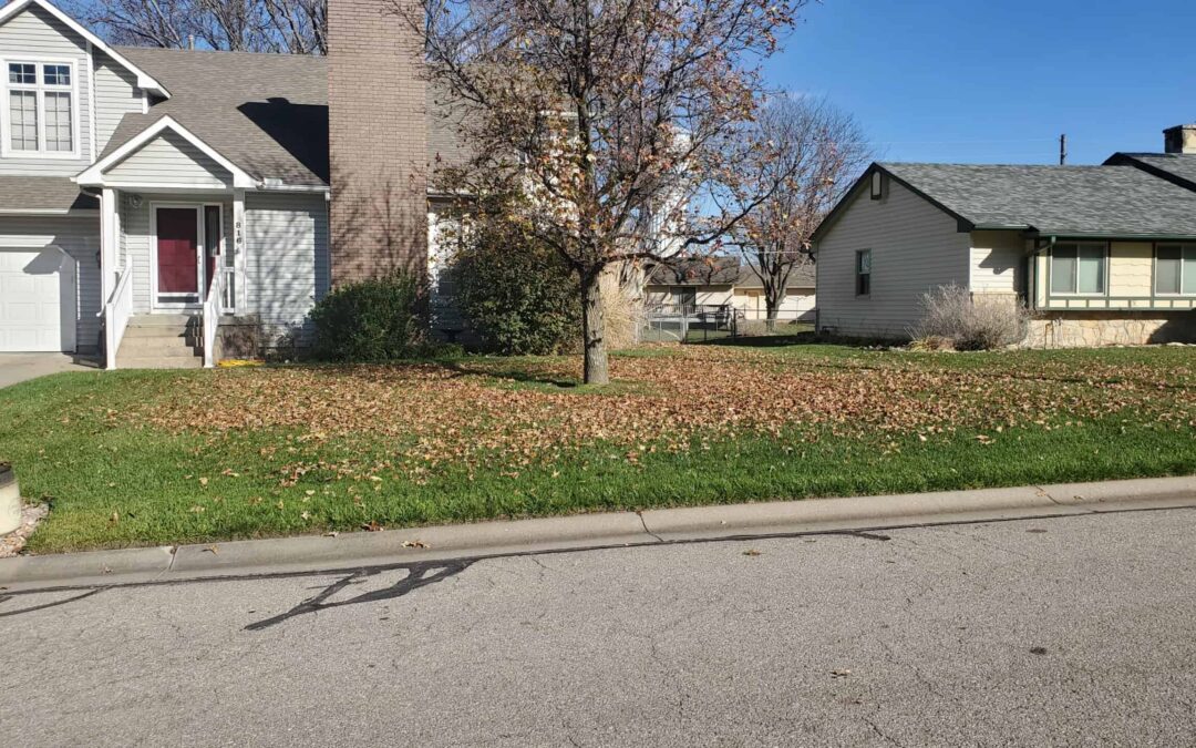 Late Fall Leading to Winter