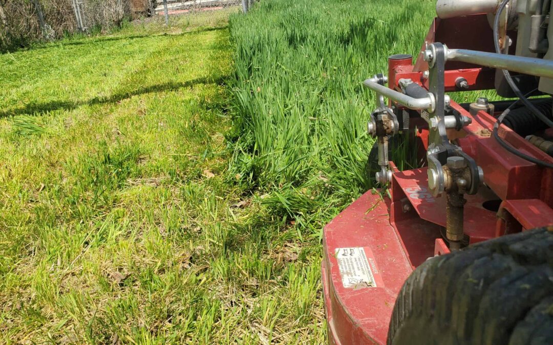Coming Soon to a Lawn Near You: Mowing Edition
