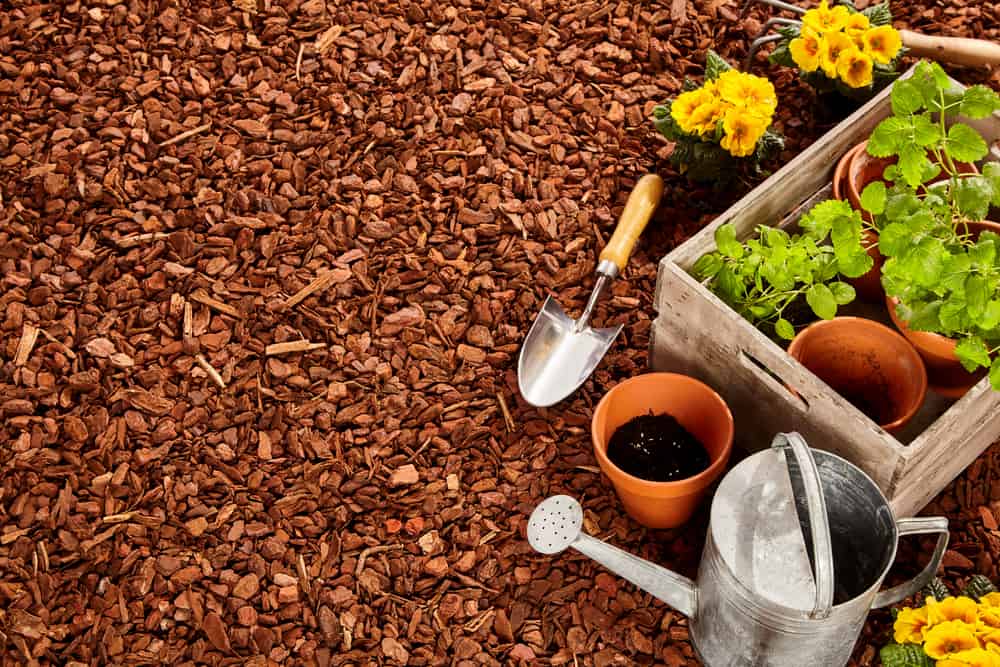 Top 9 Most Popular Mulches Discovered