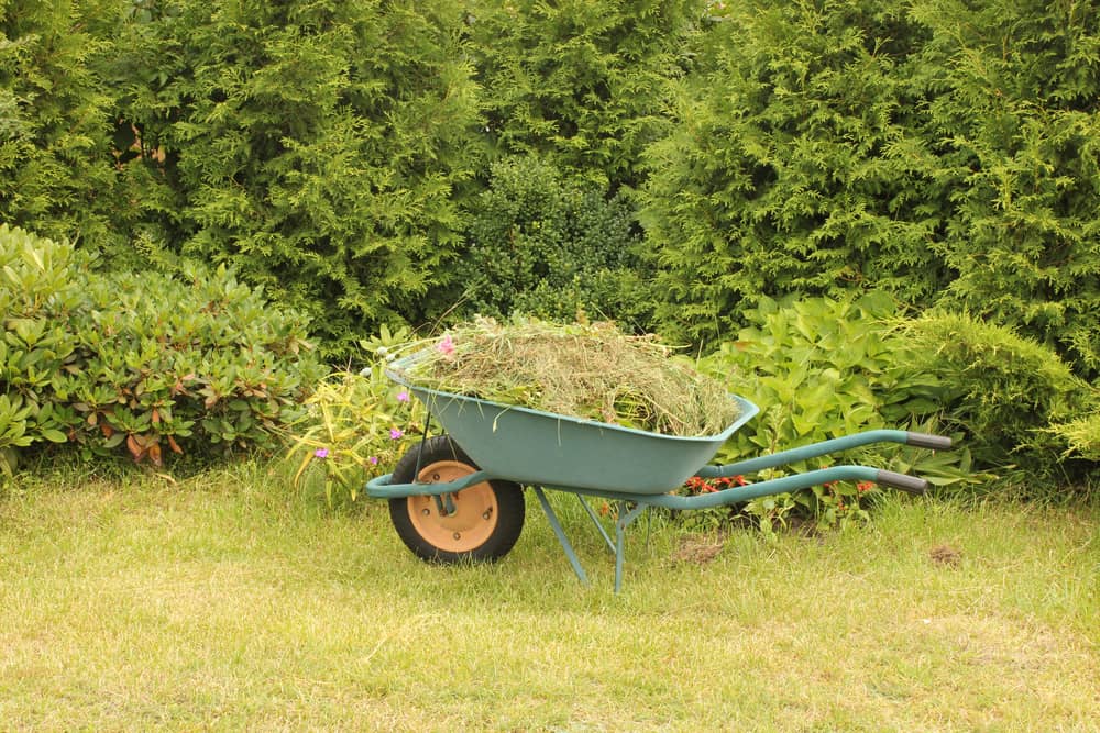 Give Your Landscape the Cleanup It Deserves
