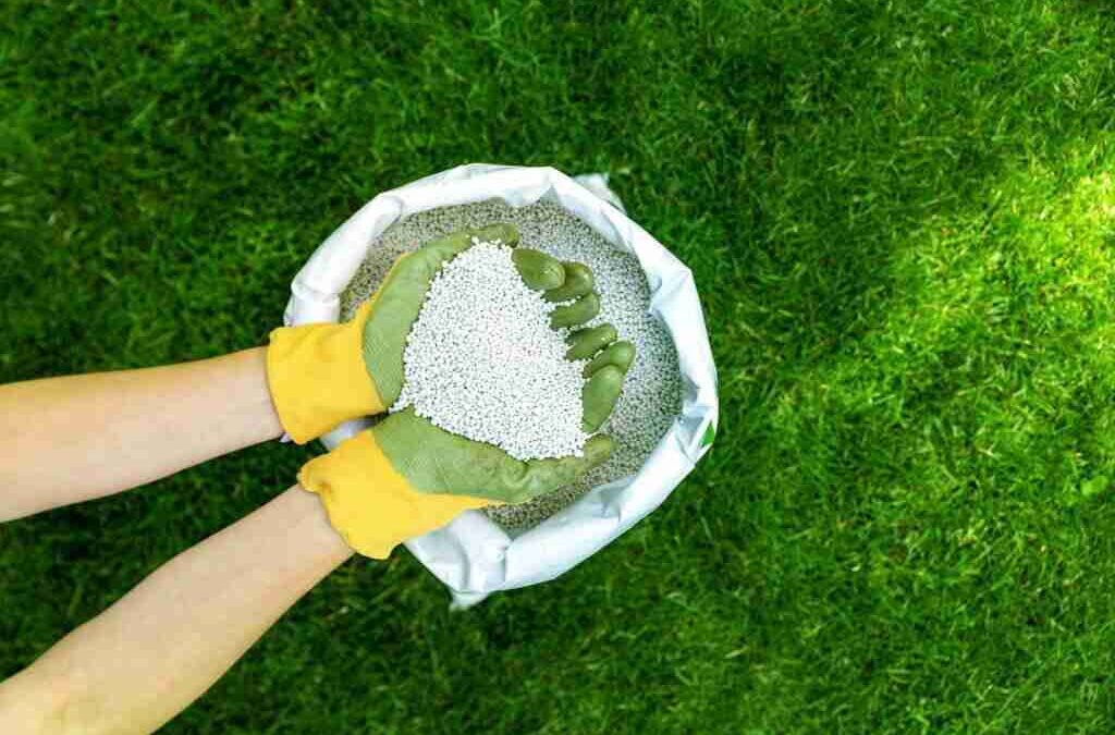 Facts you never knew about mowing