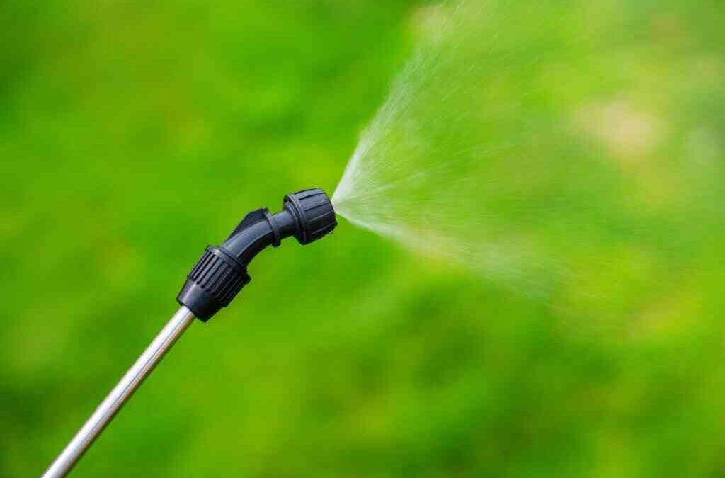 Which Came First? The Herb or the Herbicide?