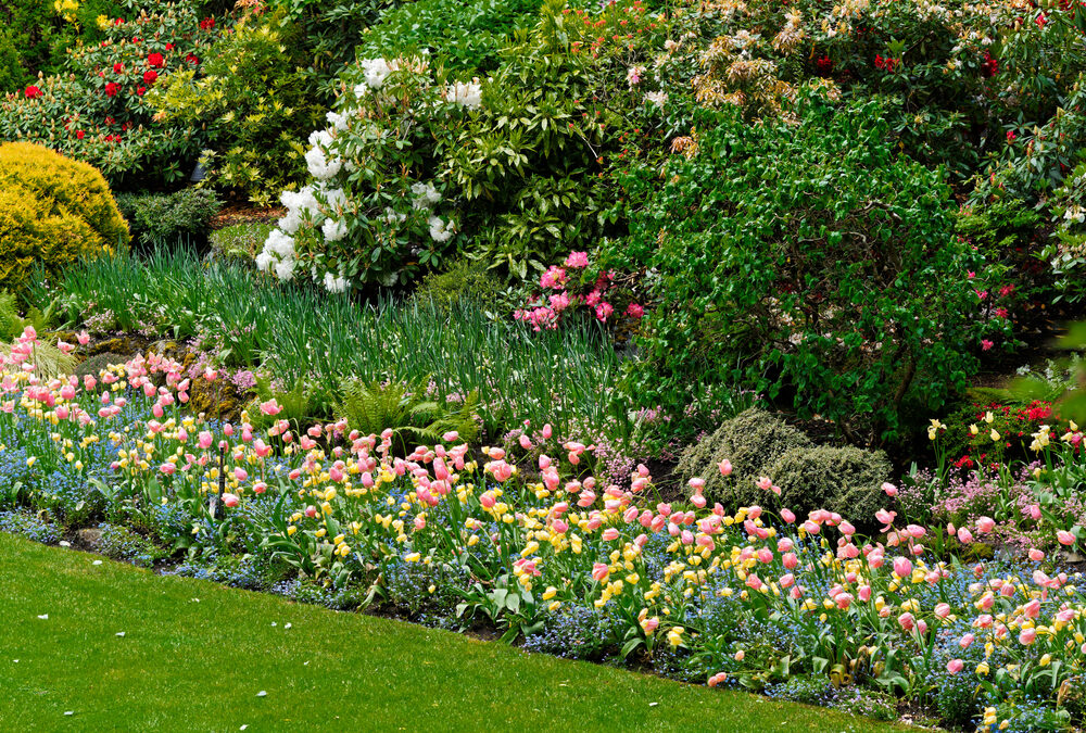 A Kaleidoscope Of Color On Your Lawn