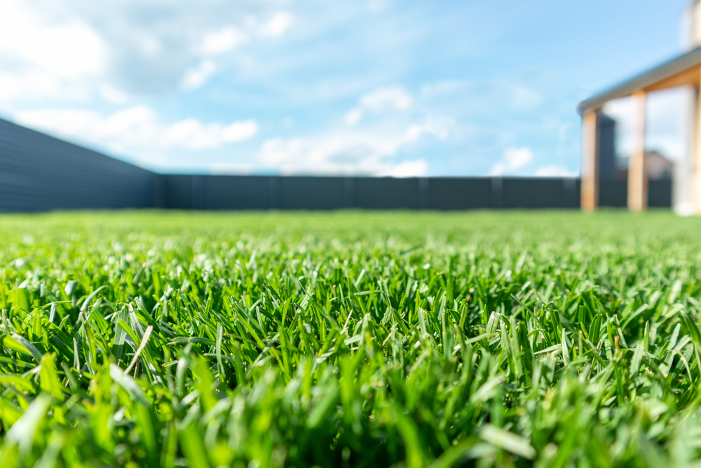 Apply Yourself… To Lawn Care