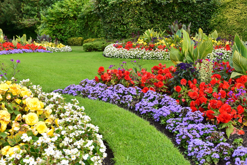 Stink or Sink – How Fertilizers Help Your Garden Grow