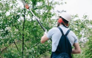 Tree Trimming in El Dorado, Kansas
