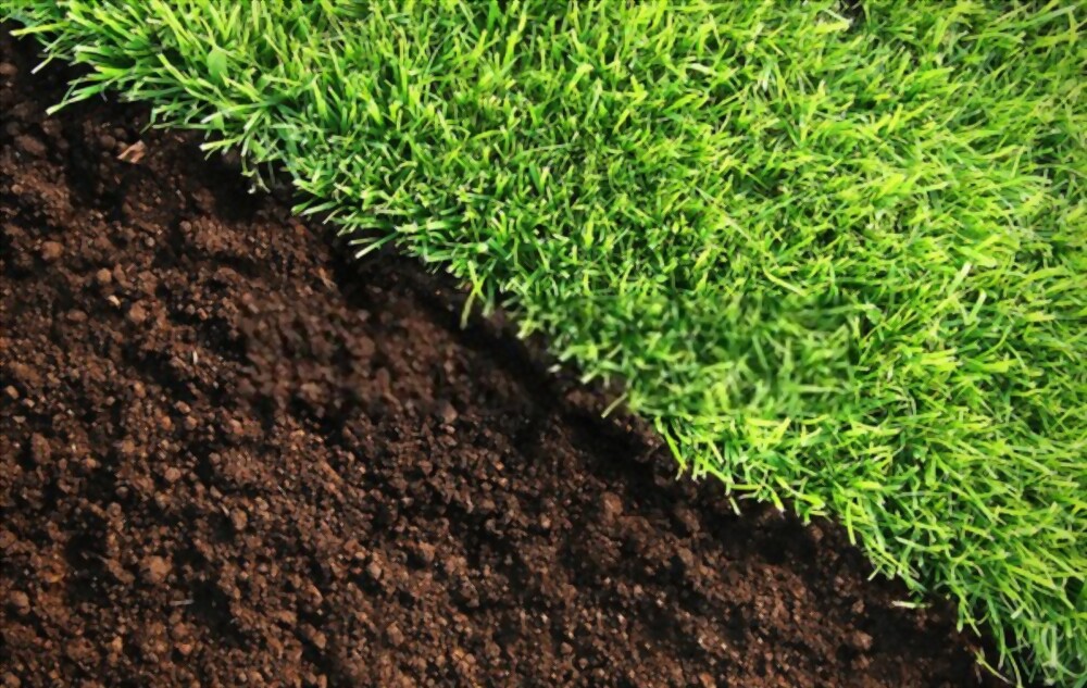 Healthy Soil, Healthy Grass, Happy Landscape
