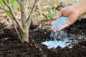 Tree Root Fertilizer in El Dorado, Kansas