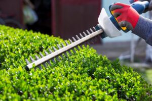 shrub trimming in El Dorado, Kansas