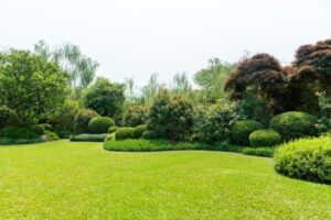 shrub trimming in El Dorado, Kansas