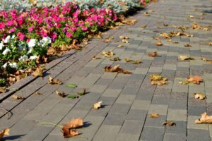 bed cleanup in El Dorado, Kansas