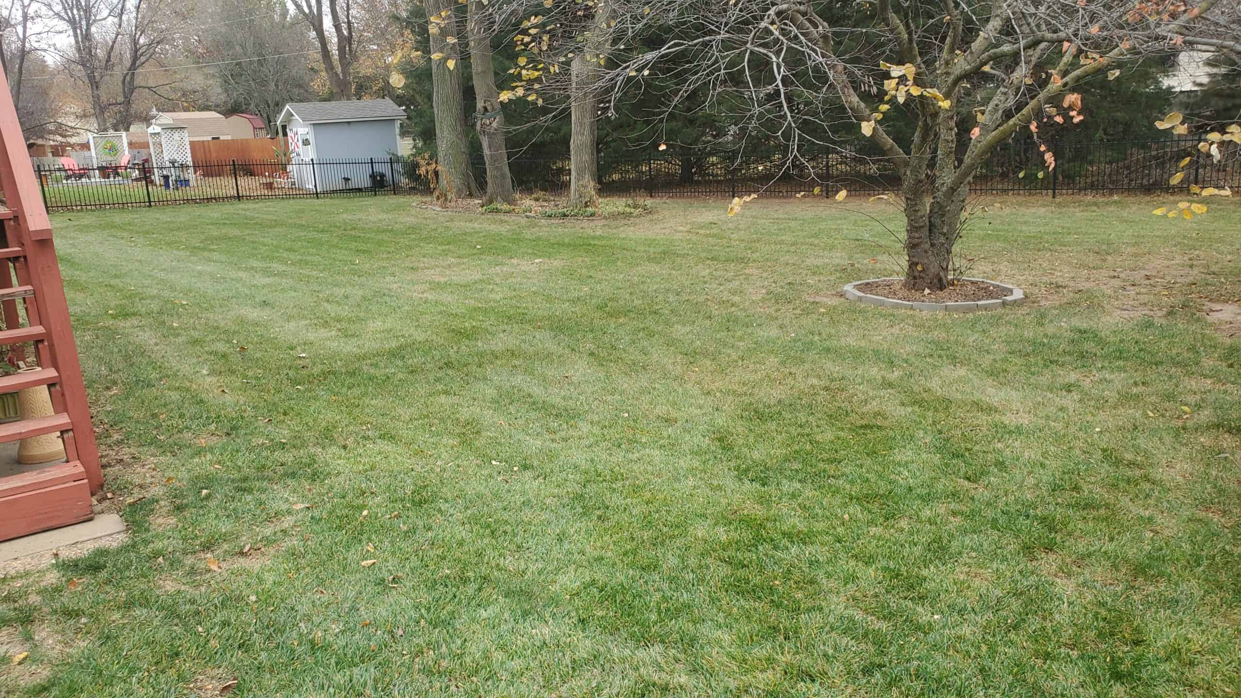 lawn in Augusta