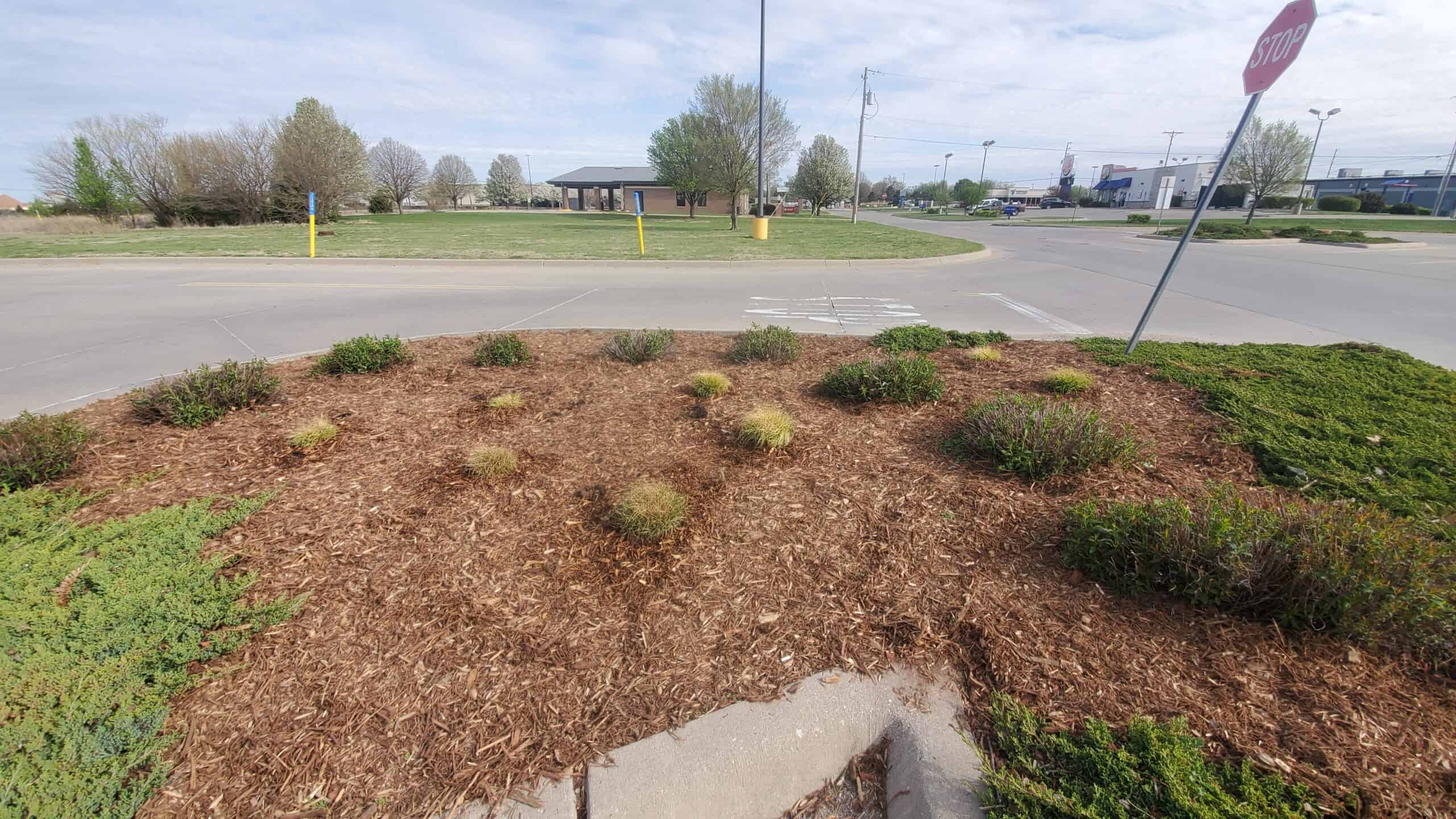 Flower Bed Cleanup in Augusta