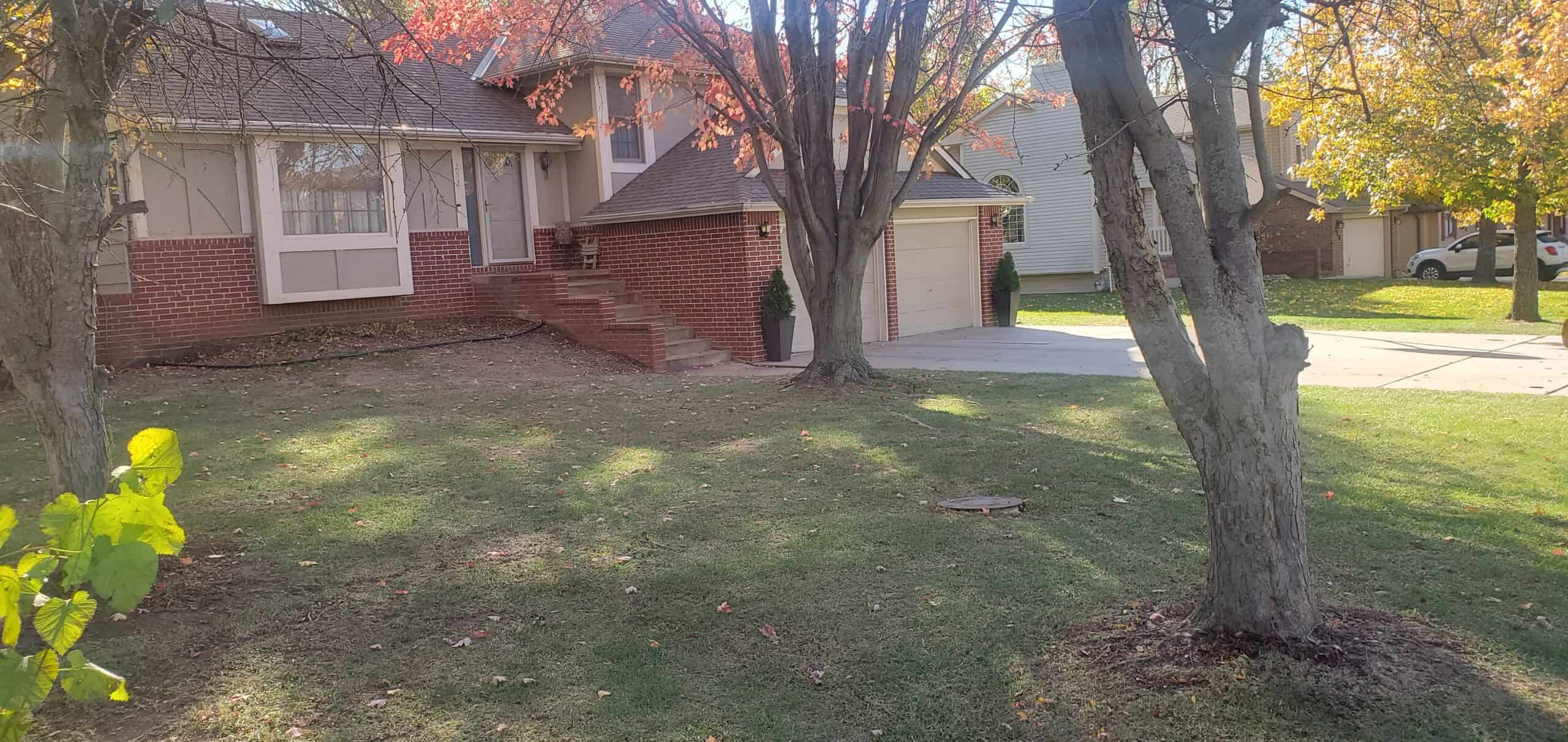 Three stately trees on lawn in front of red brick home in Towanda, KS