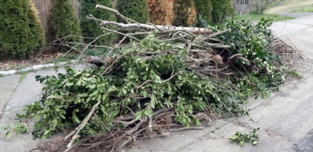 Spring cleanup in Augusta