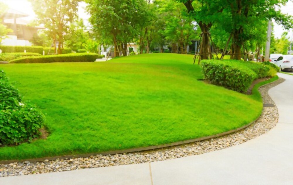 How Do You Know How High to Cut Your Lawn?