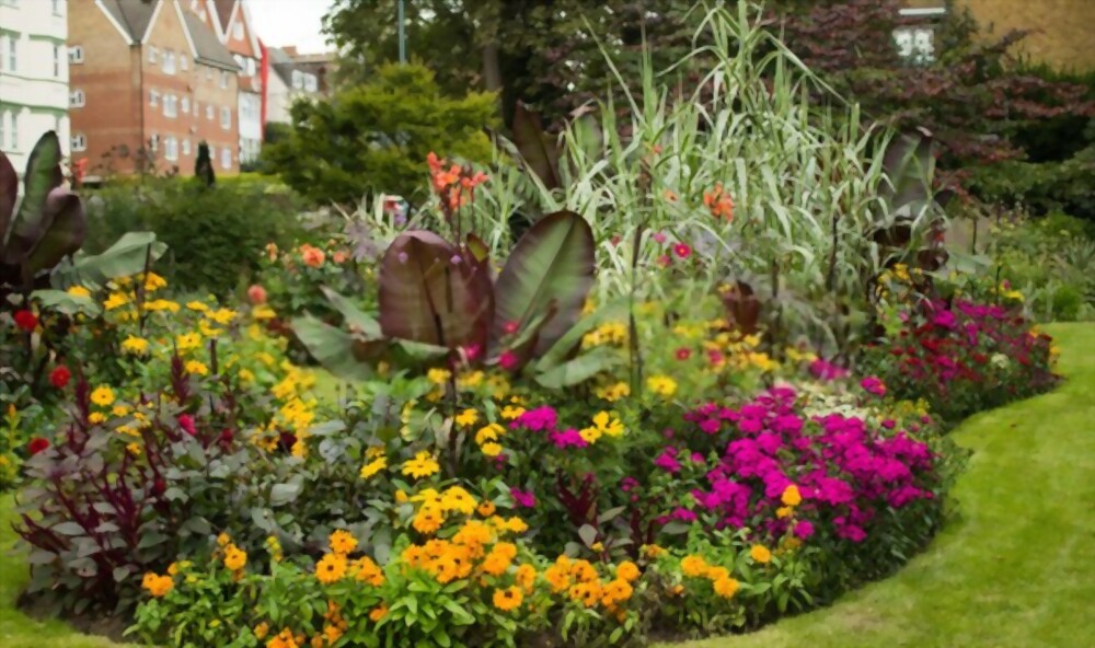 Full Weekly Bad Maintenance for Matchless Gardens