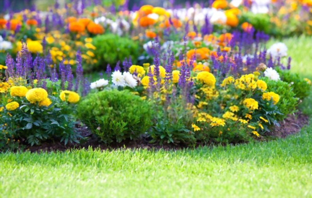  El Dorado Flower Beds'