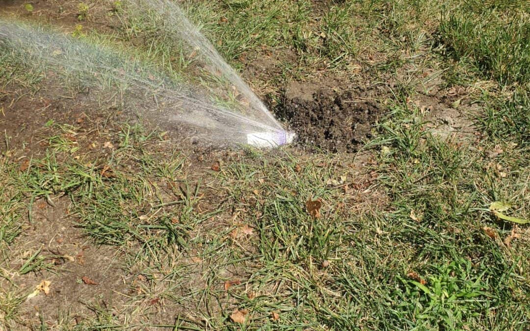 Irrigation Startup: What Could Possibly Go Wrong?