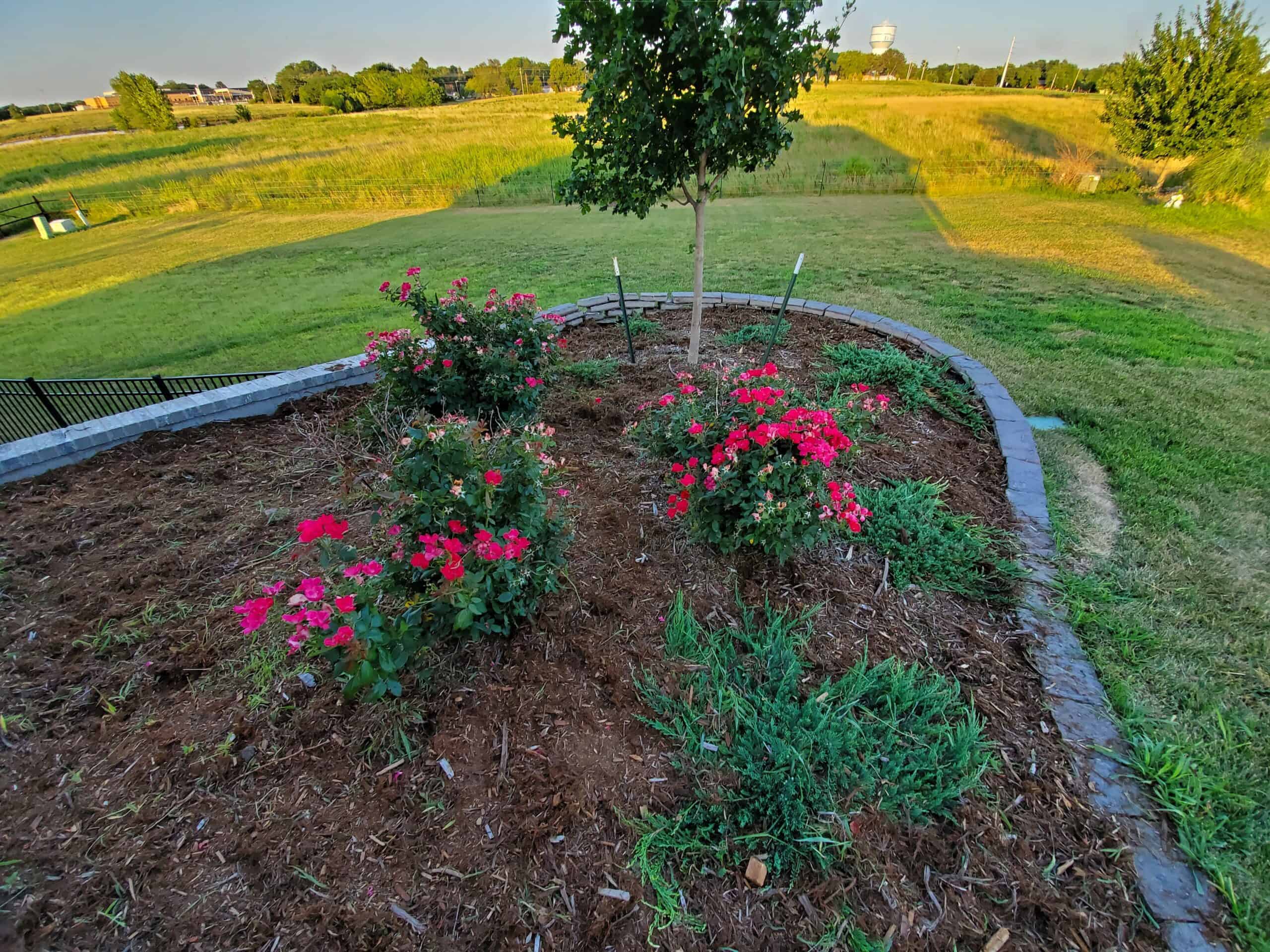 Divine Lawns provides flowerbed maintenance, installation, and design for residents & businesses in El Dorado, Augusta, NE & Wichita, KS