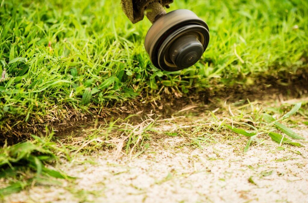 Lawn Maintenance Fundamentals