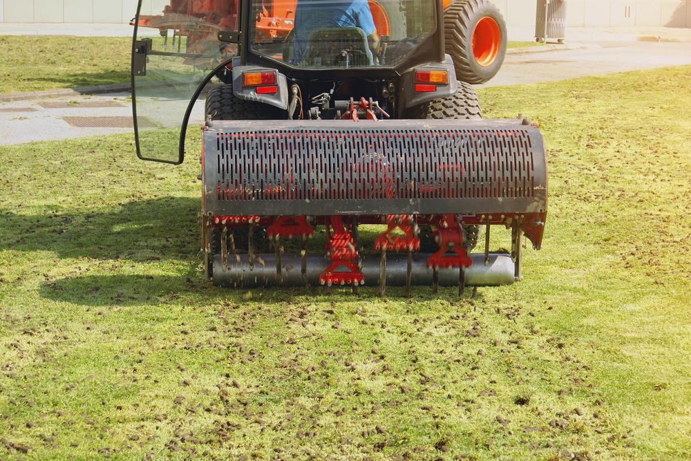 Why Aerate in the Spring?