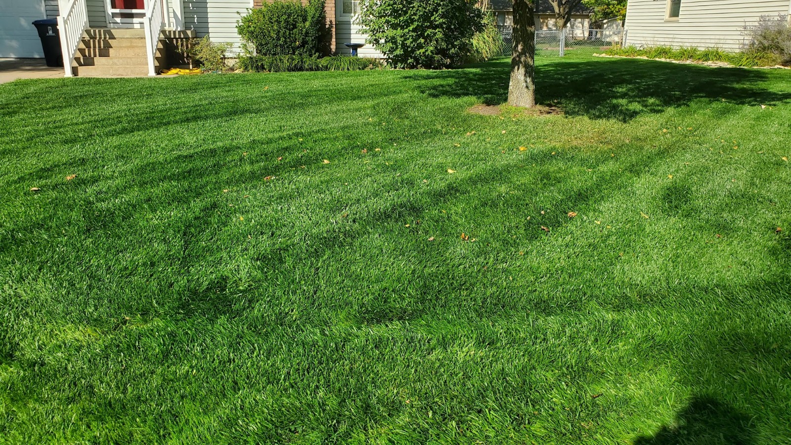 Proper lawn maintenance is required to keep your grass healthy. Need help for your El Dorado, Augusta, or Witchita lawn? Contact Divine Lawns today!