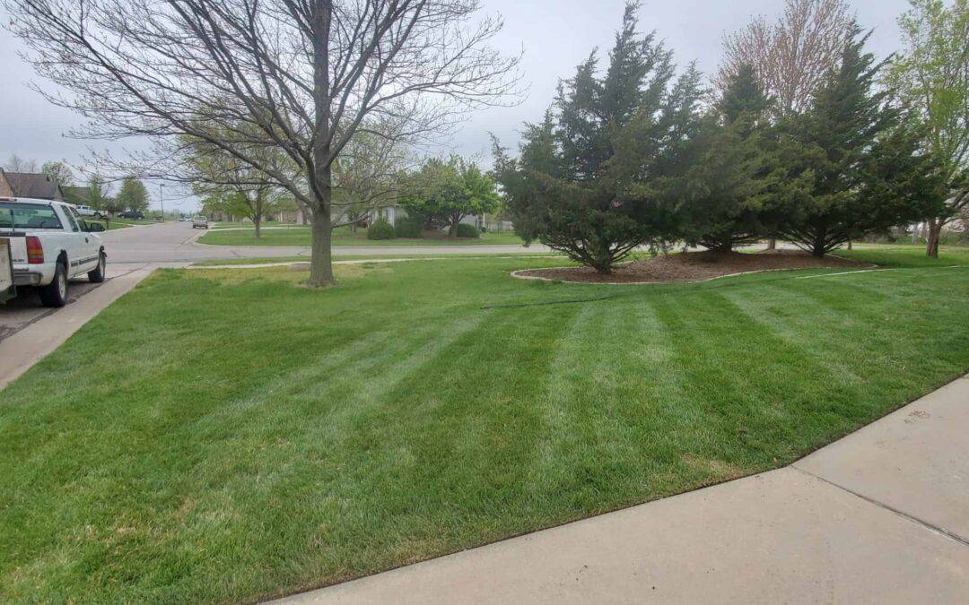 Sod Installation Advice- How to Properly Lay Sod Over a Previously Grassed Lawn