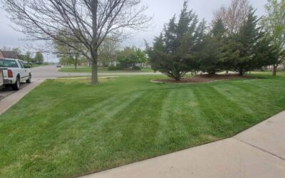 Sod Installation Advice- How to Properly Lay Sod Over a Previously Grassed Lawn