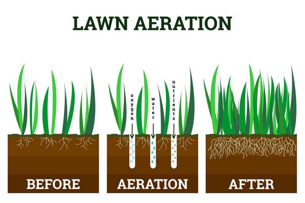 Why Aeration Services Matter