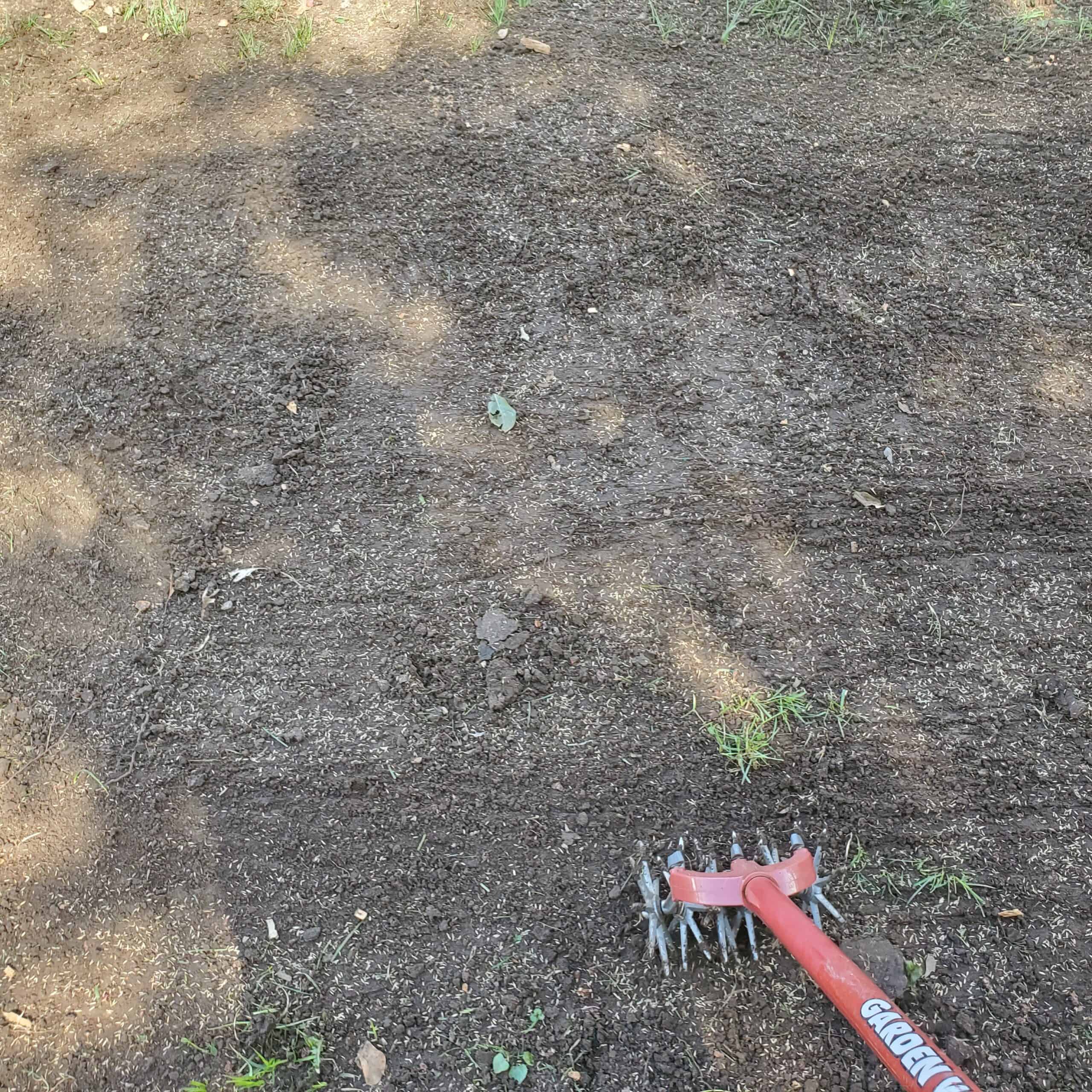 Contact Divine Lawns today to schedule professional aeration services and give your El Dorado, Augusta, or Witchita lawn the care and air it deserves!