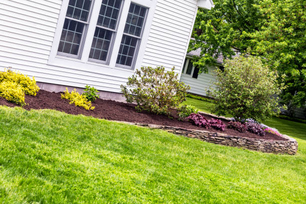 Transforming Your Lawn: Tips from Professional Mowers
