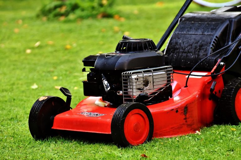 Looking for more lawn maintenance tips from professionals for your El Dorado or Augusta lawn? Our experts at Divine Lawns have you covered.