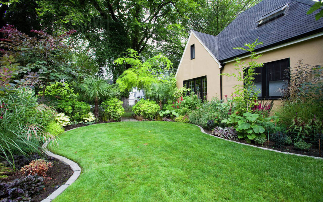 How To Harmonize Both Landscaping and Lawn Care