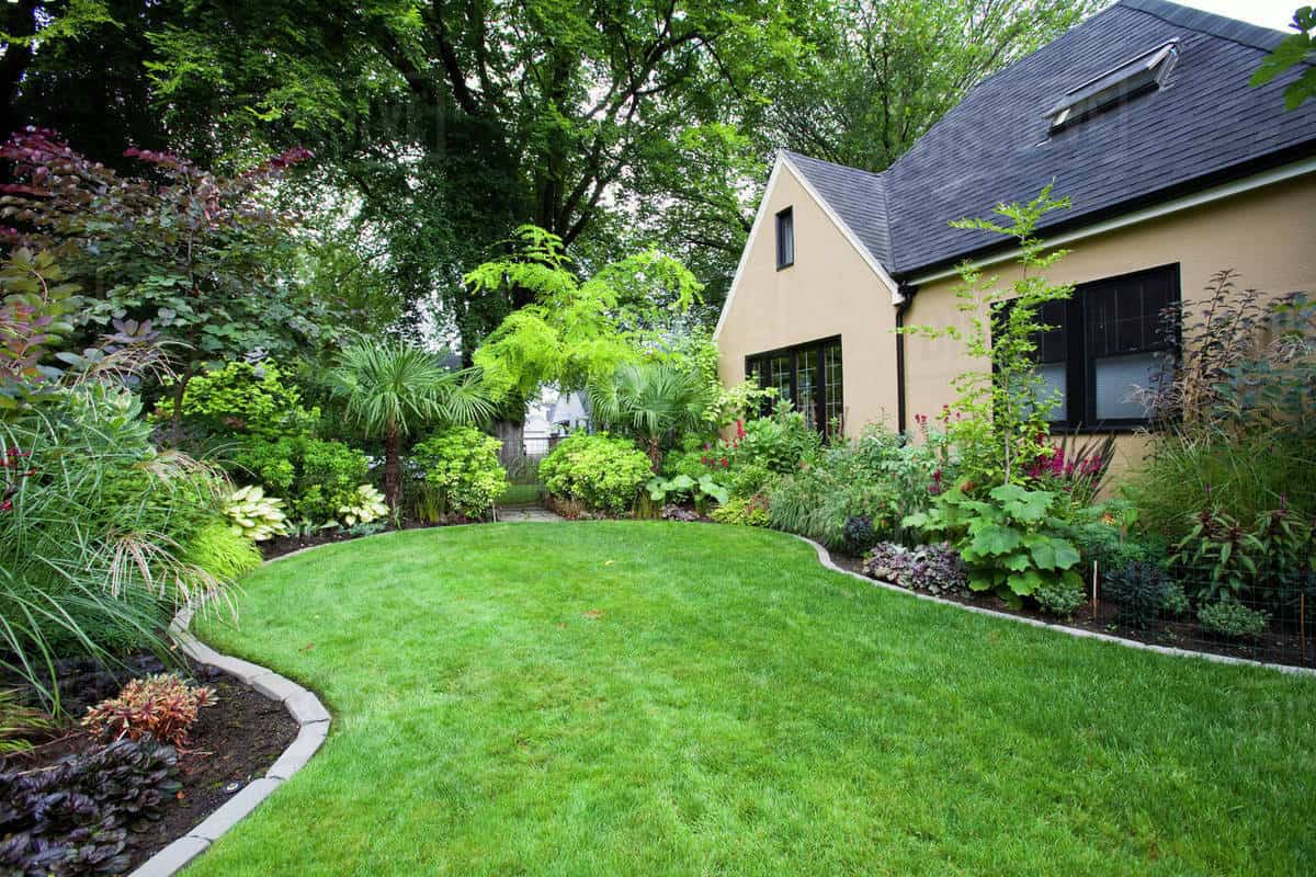 Need help figuring out how to maintain your landscaping with proper lawn care in El Dorado? Divine Lawns can help!