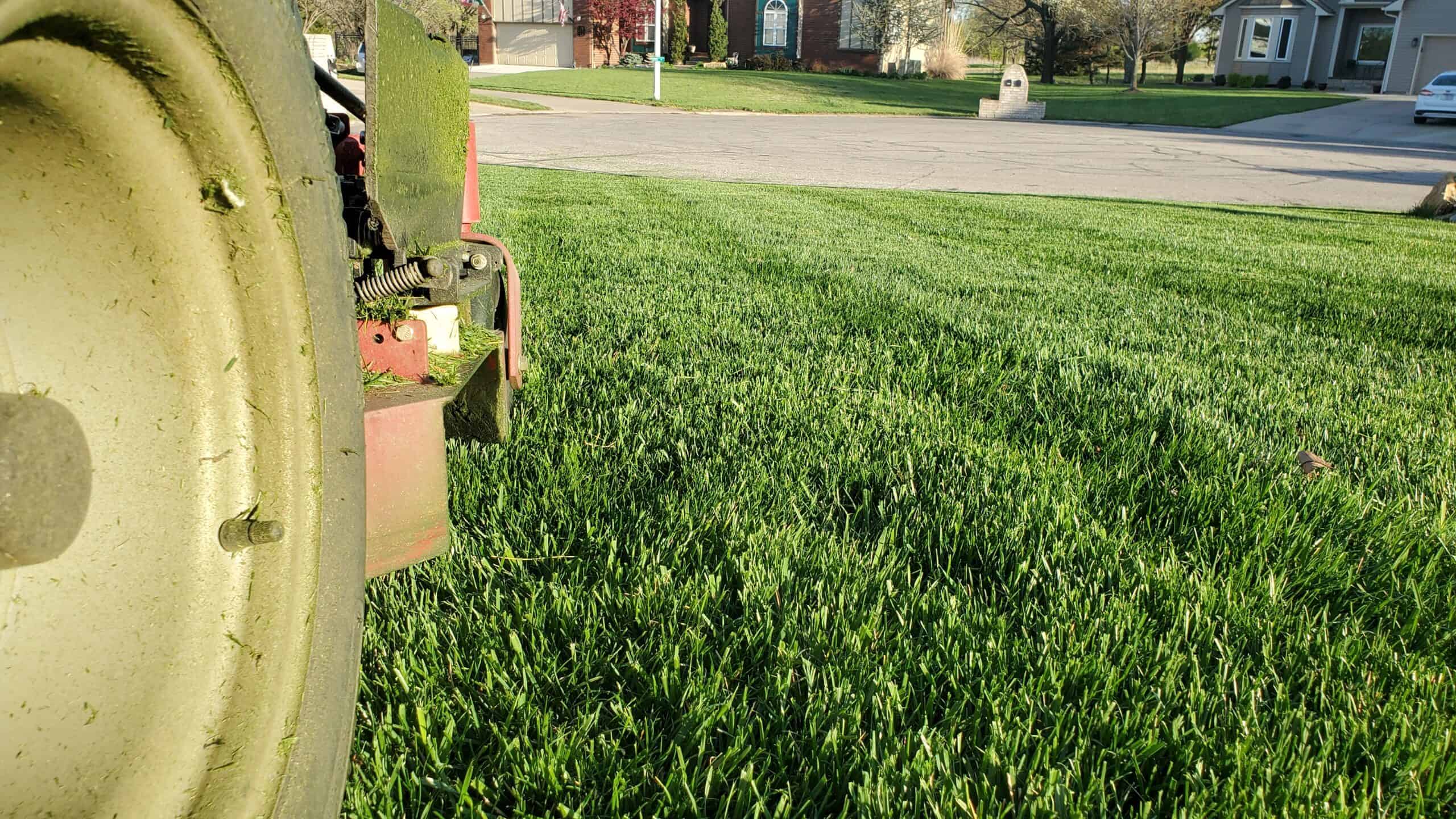 Close-up of a lawn mower wheel on green grass during a mow, with a suburban street and houses blurred in the background.