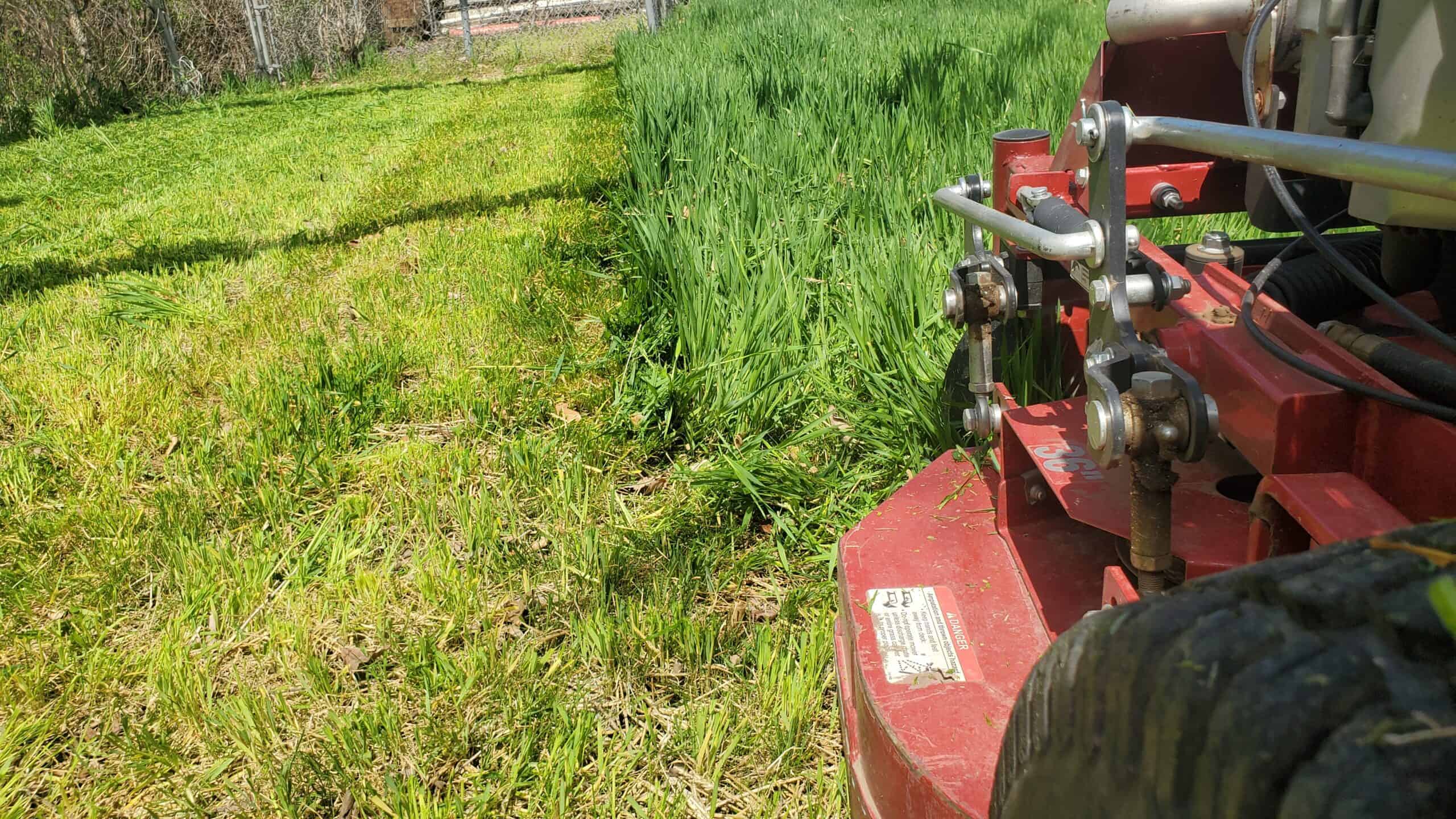 the side of a red riding lawnmower deck as it cuts long grass on a curved path