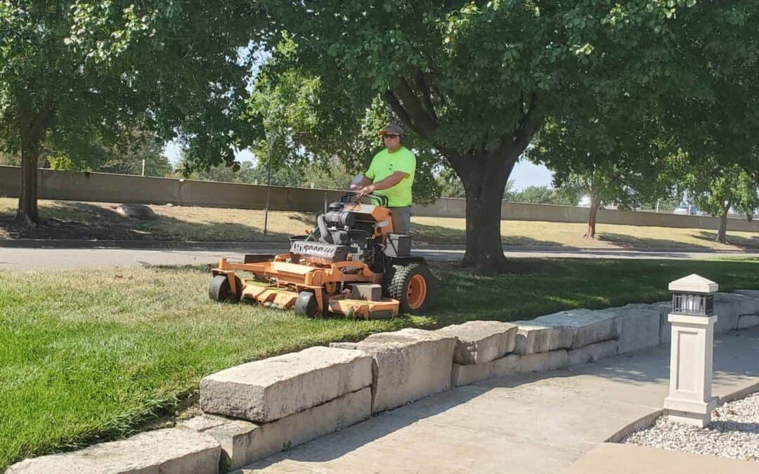Mowing and Lawn Maintenance Mistakes Many Homeowners Make