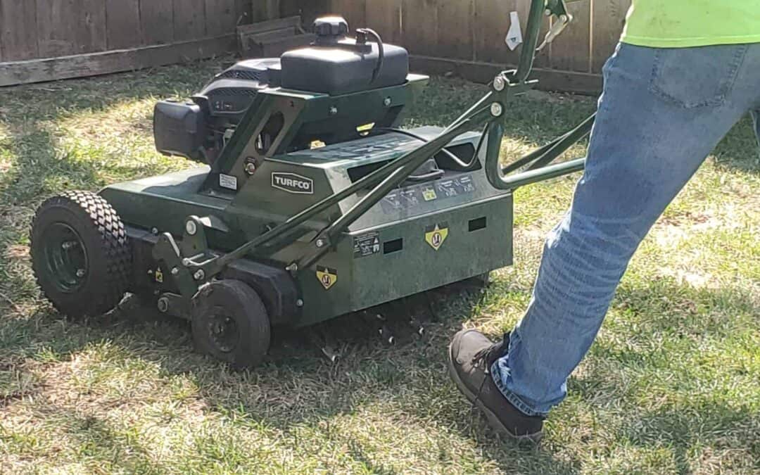 DIY vs. Professional Aeration