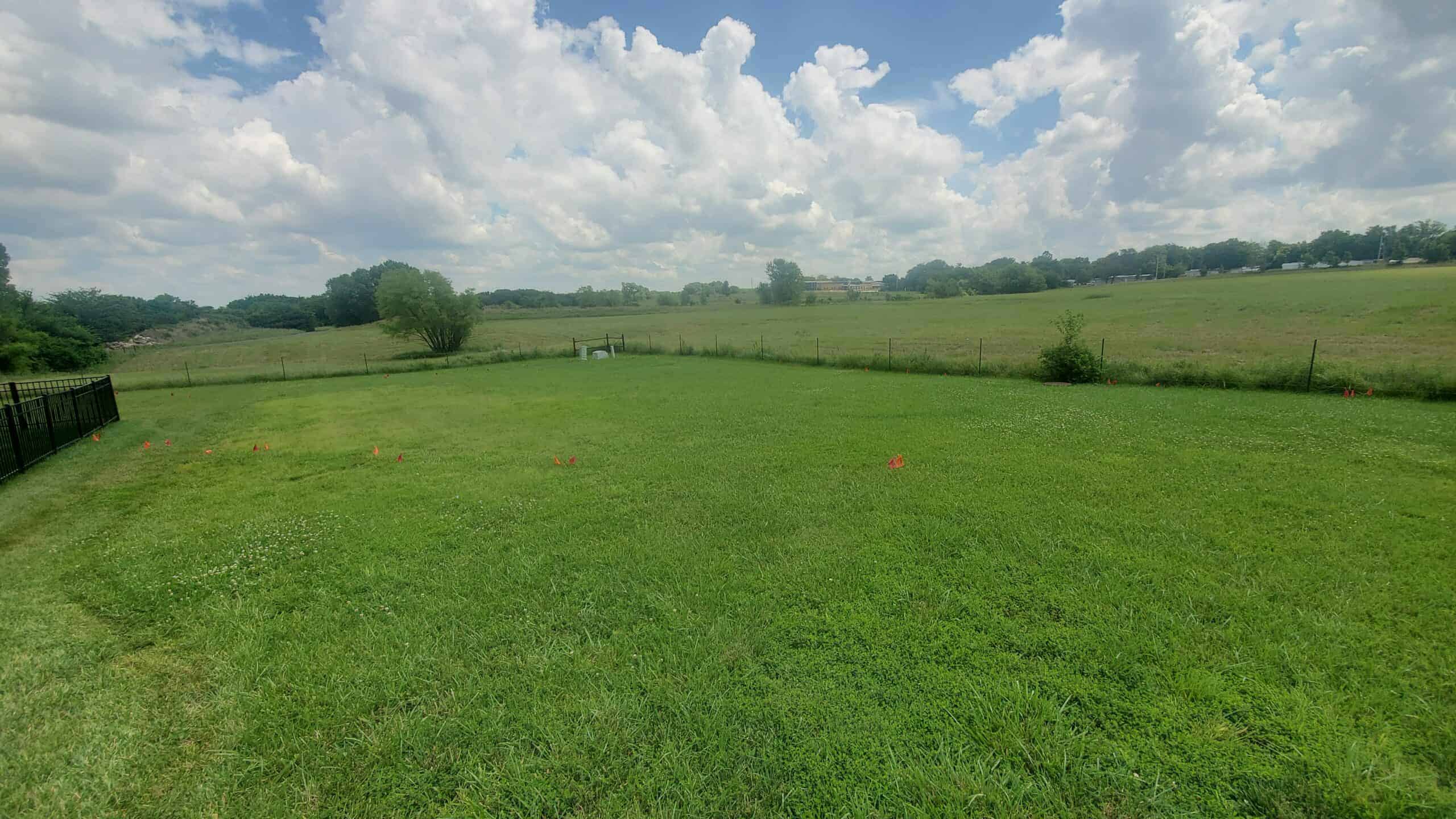 a large green field with red flags planted in the ground to mark aeration patterns