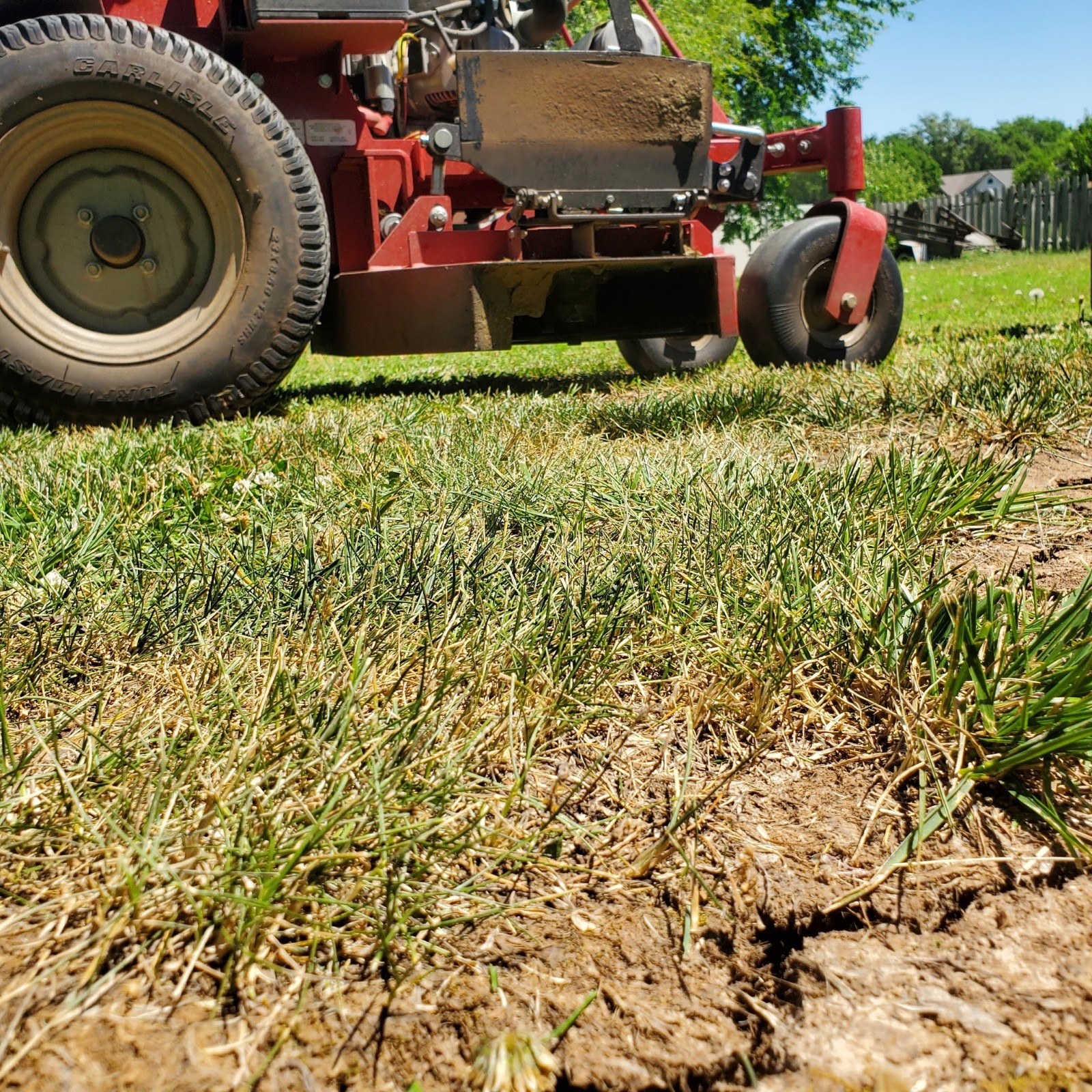 Lawn before mowing services