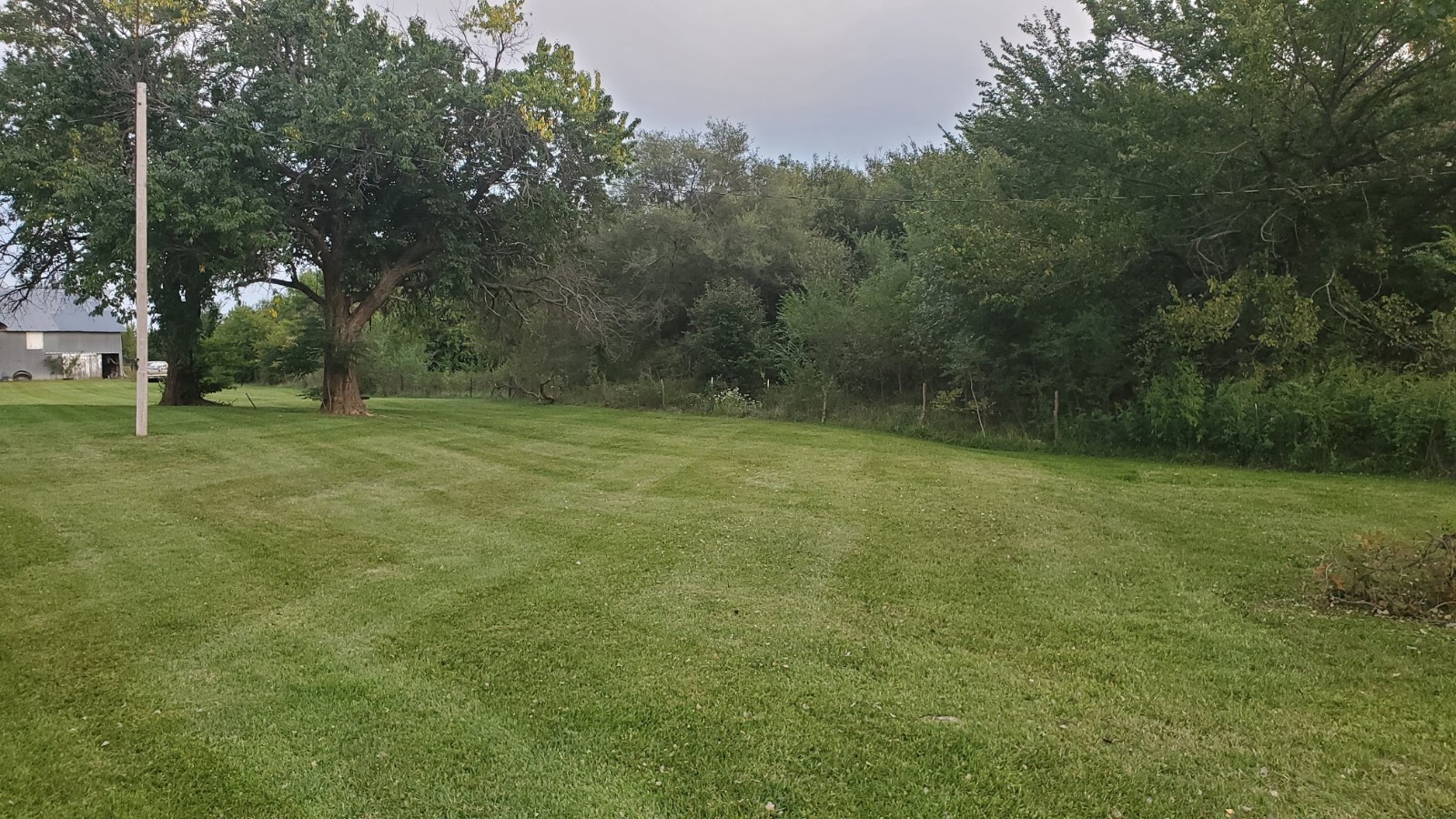 enjoy comprehensive mowing services in KS for bagging or mulching grass clippings