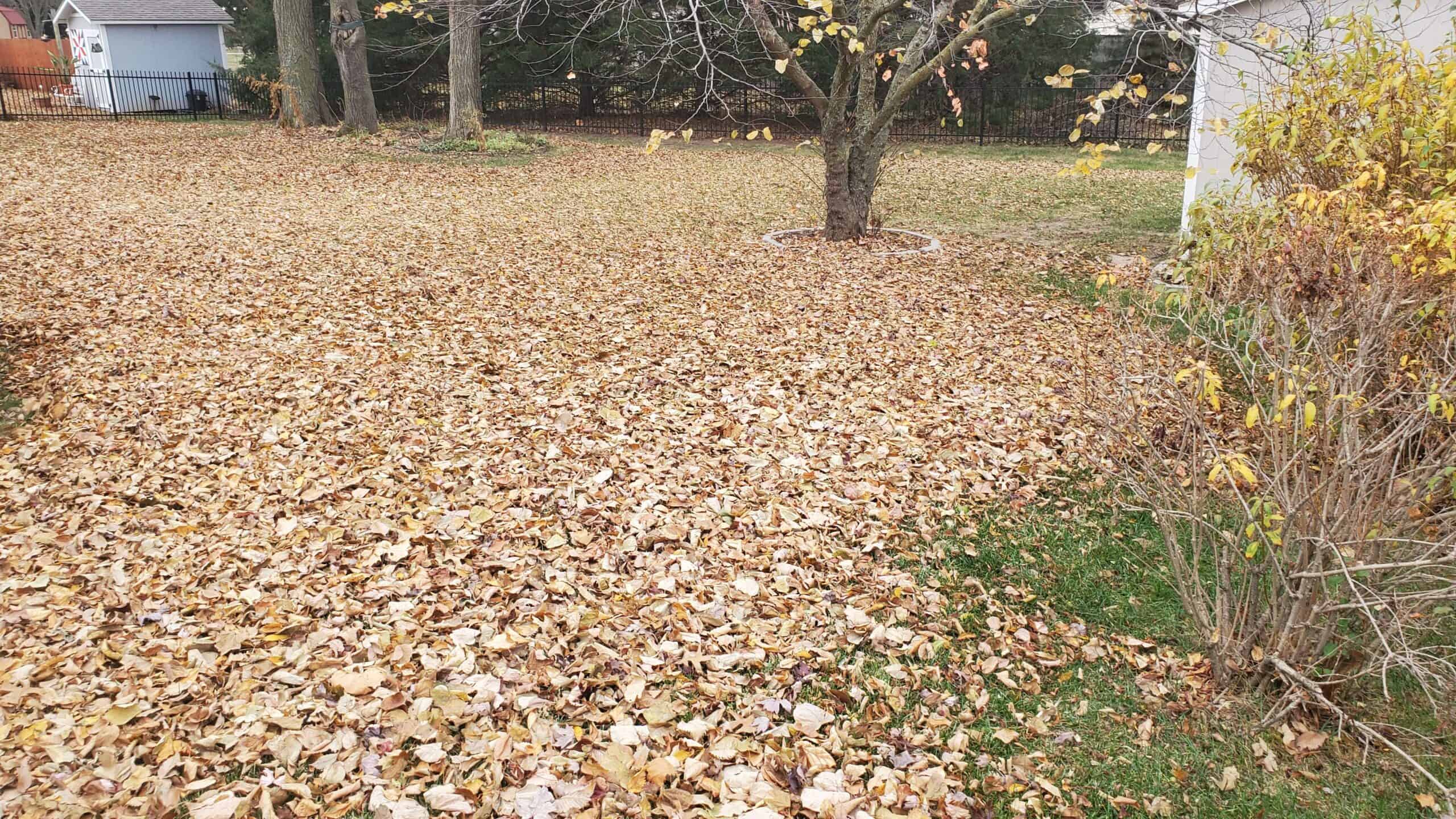 Use leaf removal to create nutritious compost piles for mulching