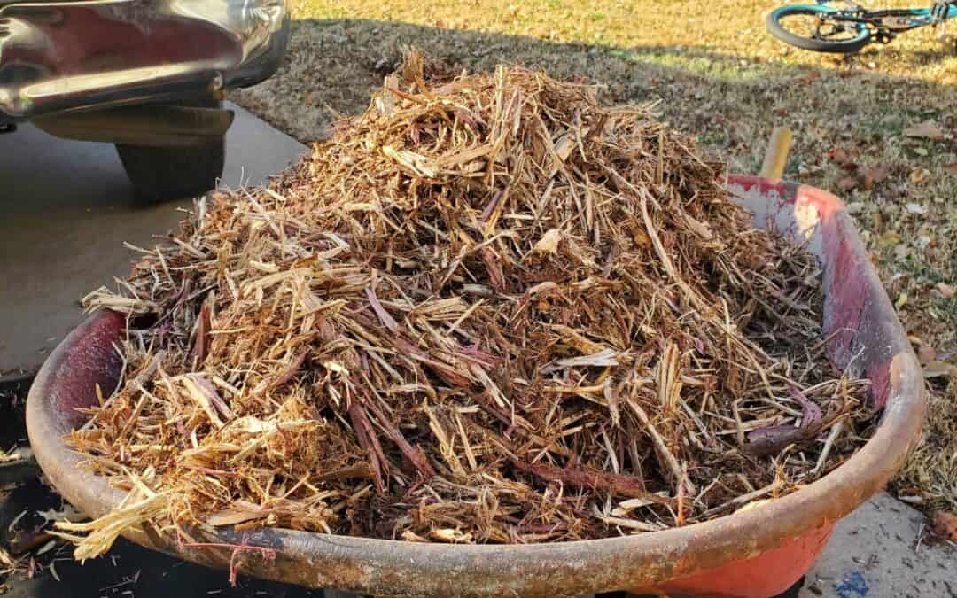 Routine Yard Cleanups Are Often Forgotten About!